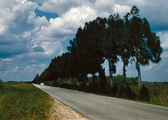 Florida Memories