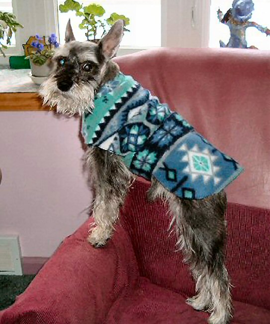 Fritzi