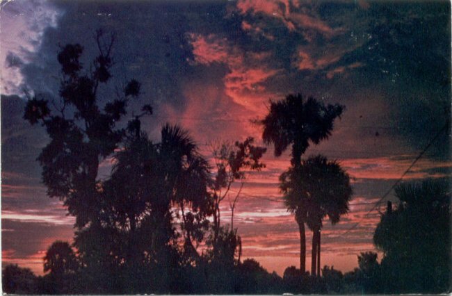 Shirley's Postal Cards