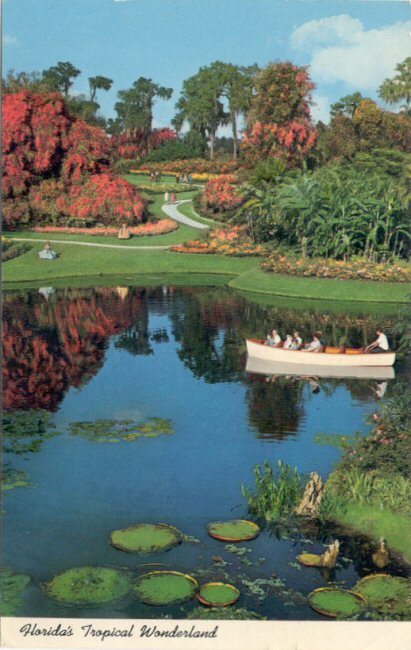 Shirley's Postal Cards