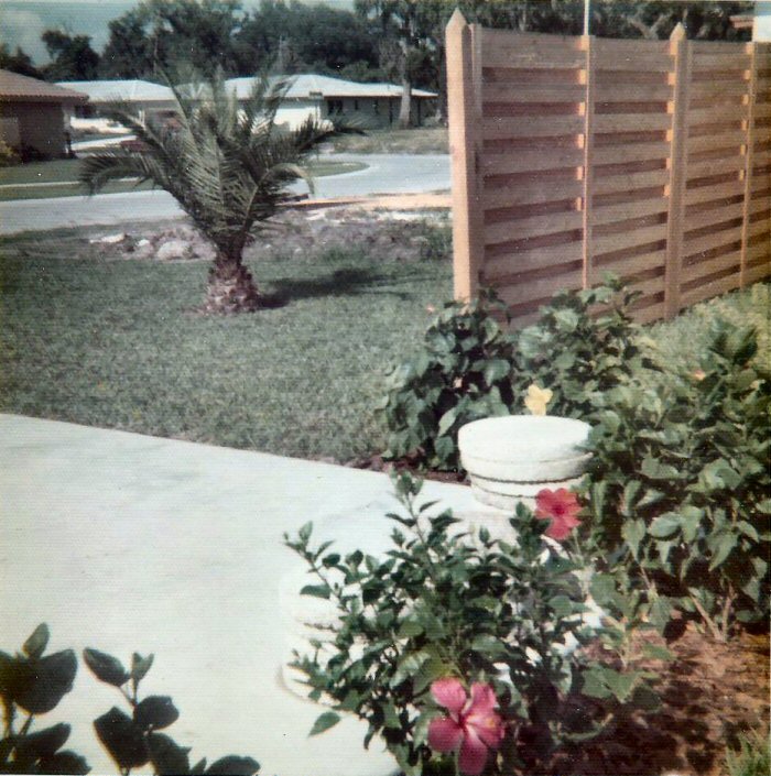Florida Memories